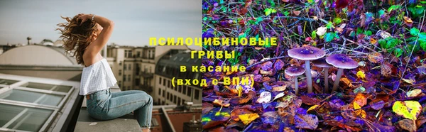 амф Майский