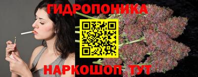гидра Лесосибирск