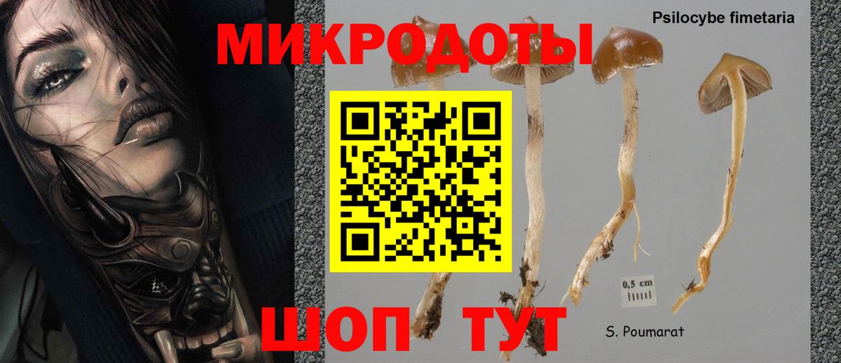 Галлюциногенные грибы Cubensis Ханты-Мансийск